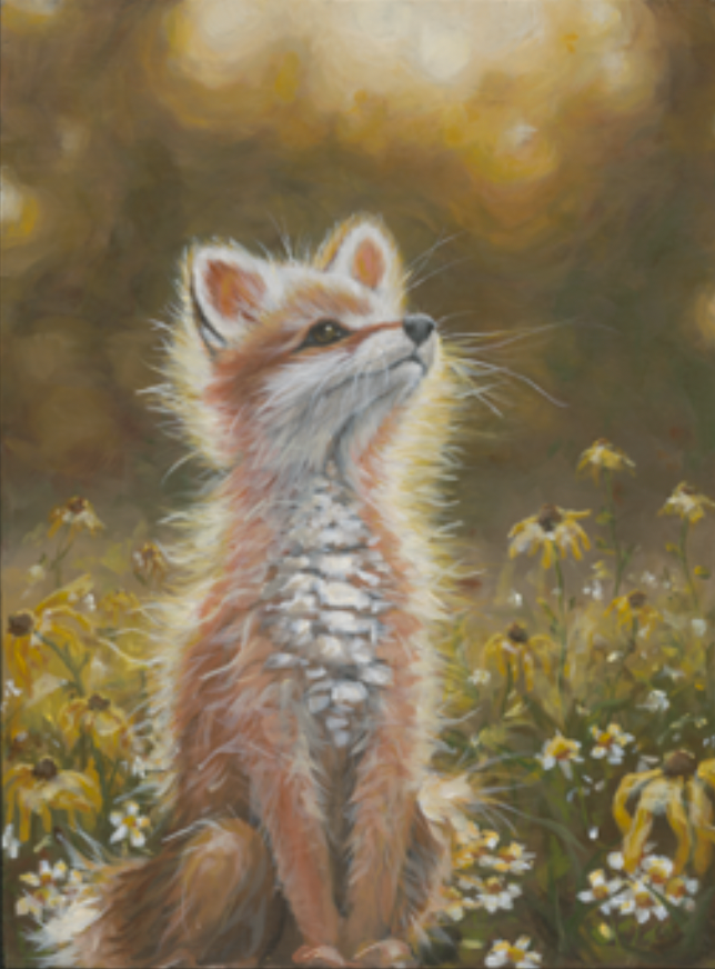 Golden Hour Series: Fox