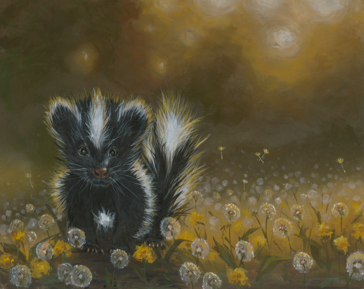 Golden Hour Series: Skunk