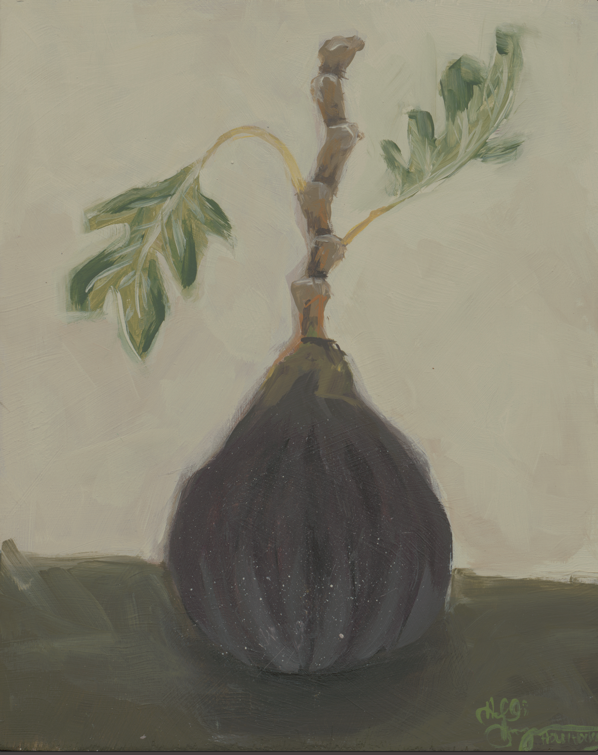 Fig Digital Download