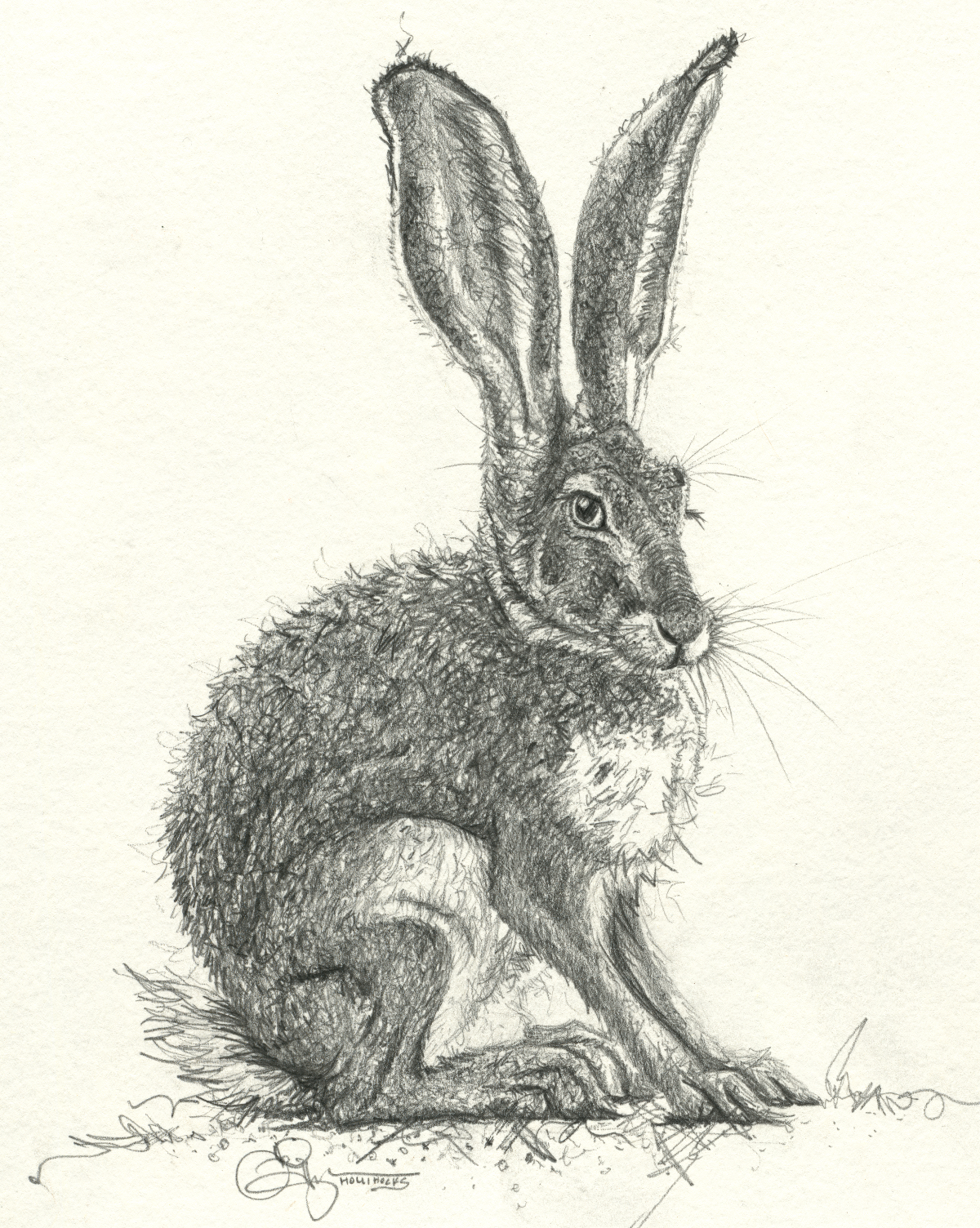 The Hare Digital Download