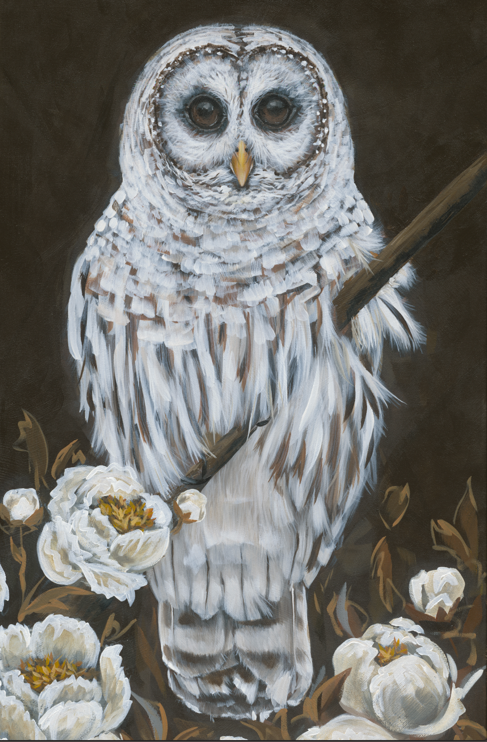 Barred Owl Digital Download