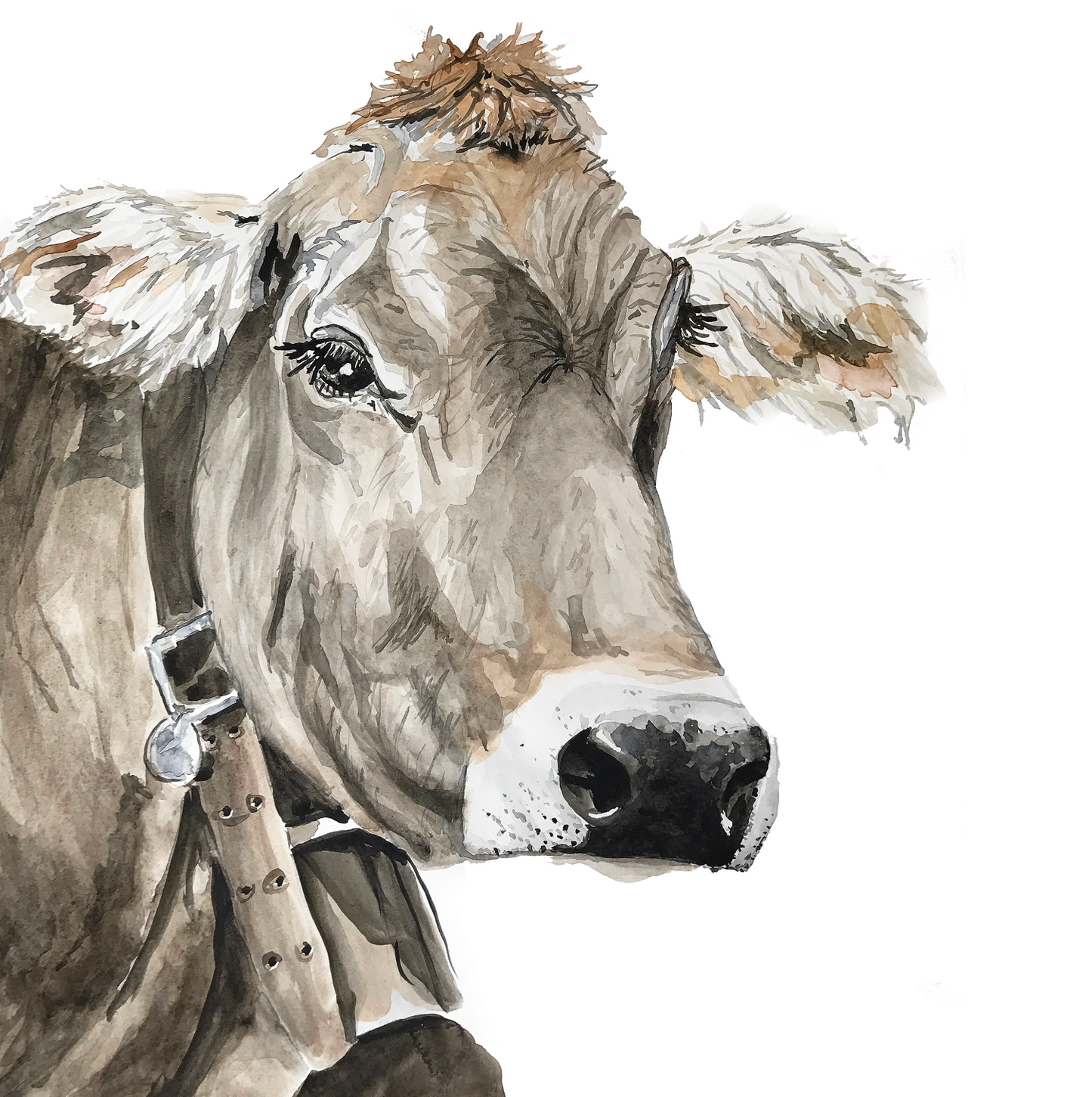 Barbara the Jersey Digital Download