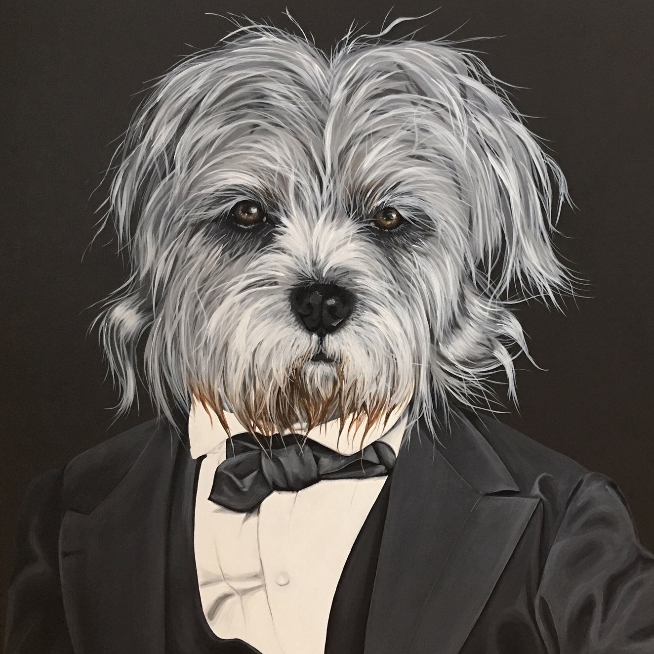 A Dog Named President Lincoln