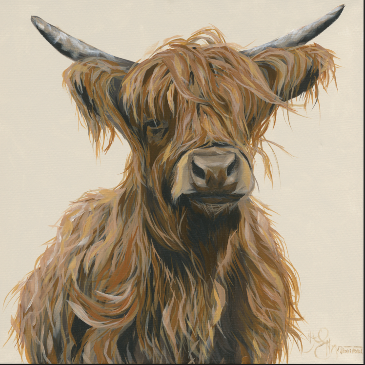 Highland Cattle