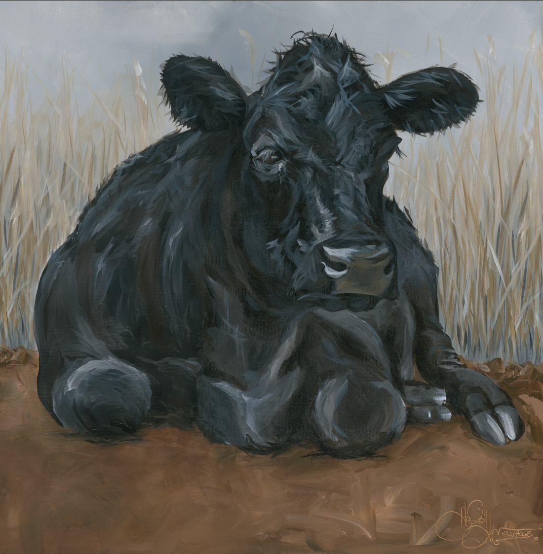 Angus