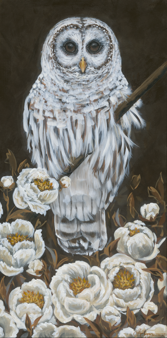 Barred Owl