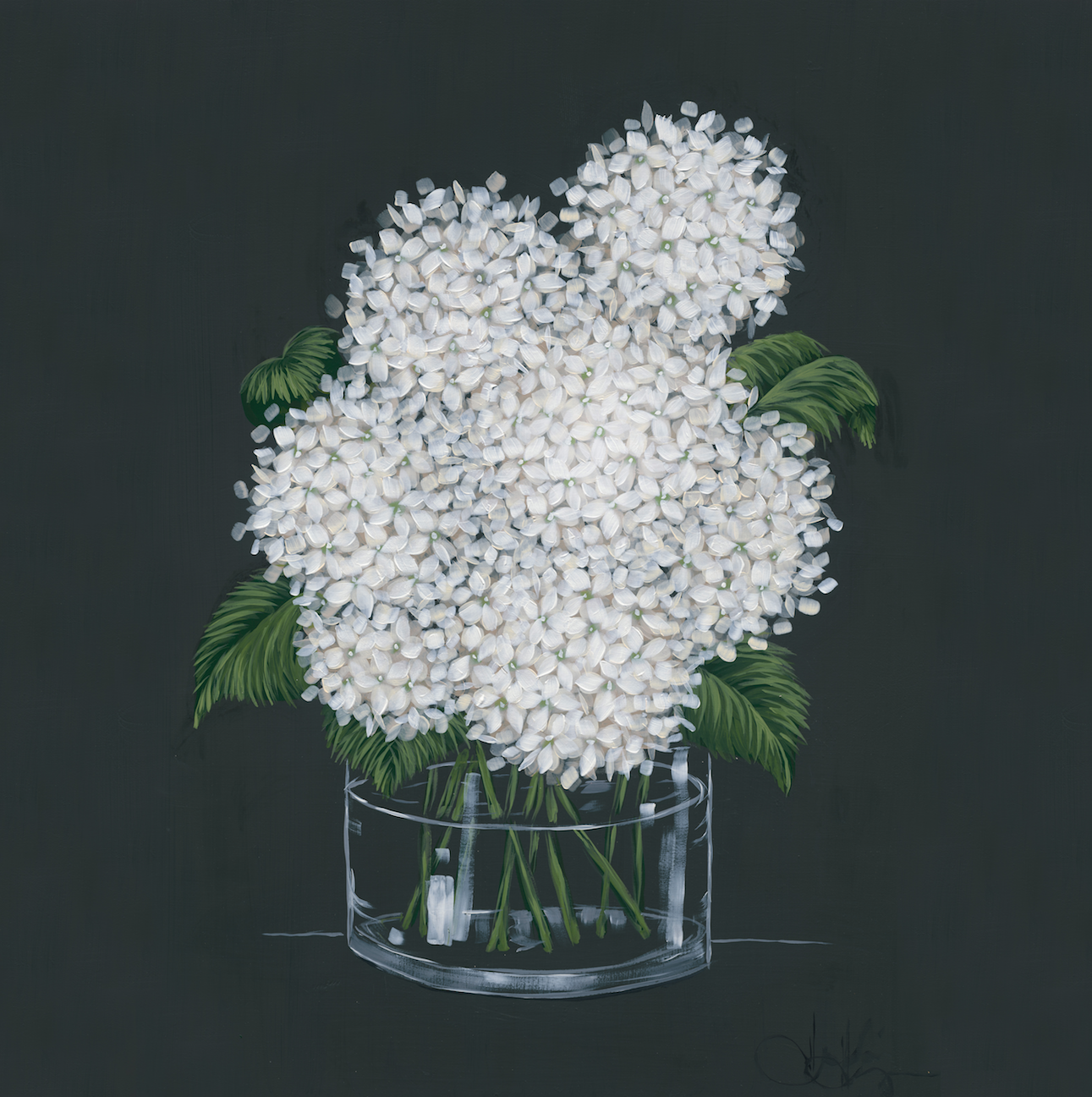 Hydrangeas