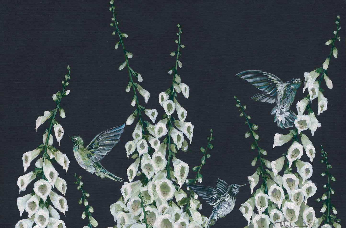 Foxgloves & Hummingbirds
