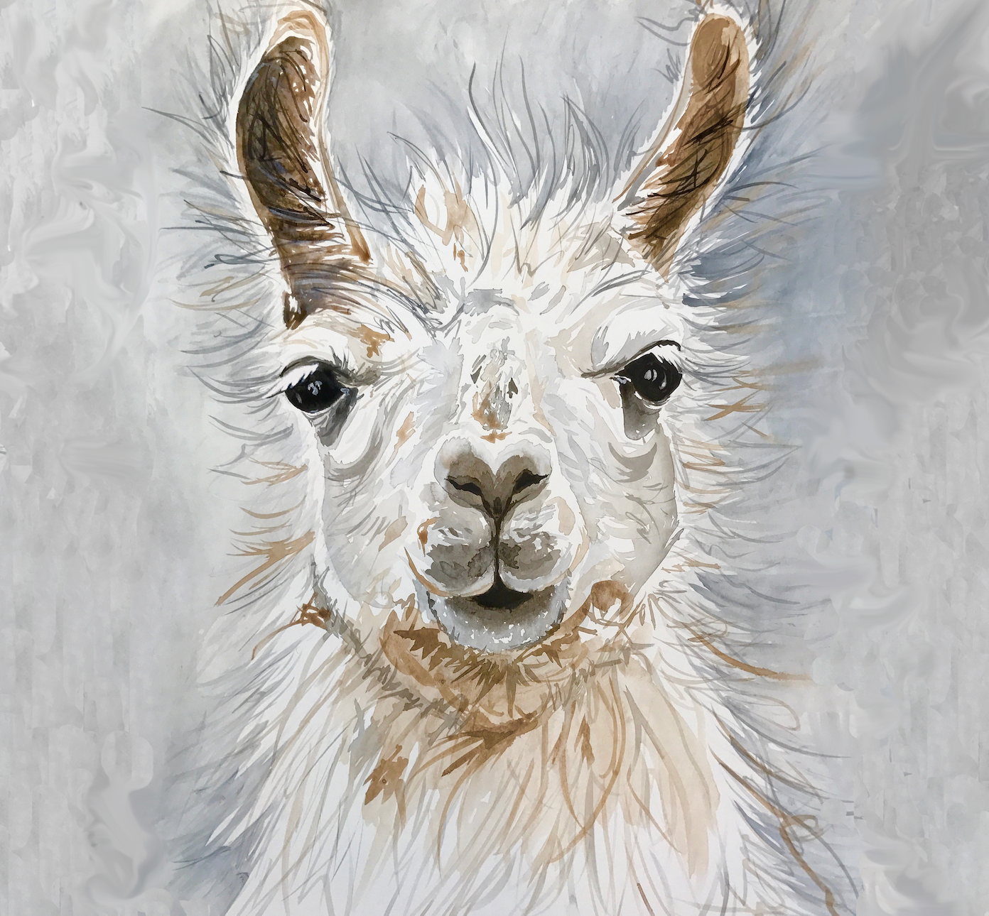 White Llama