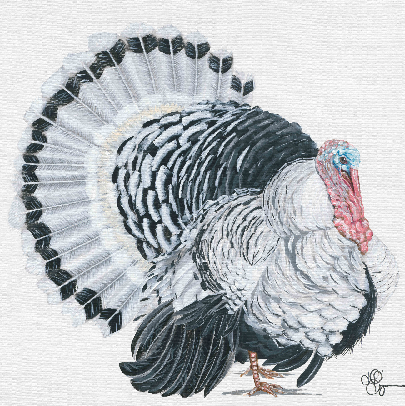 White Turkey