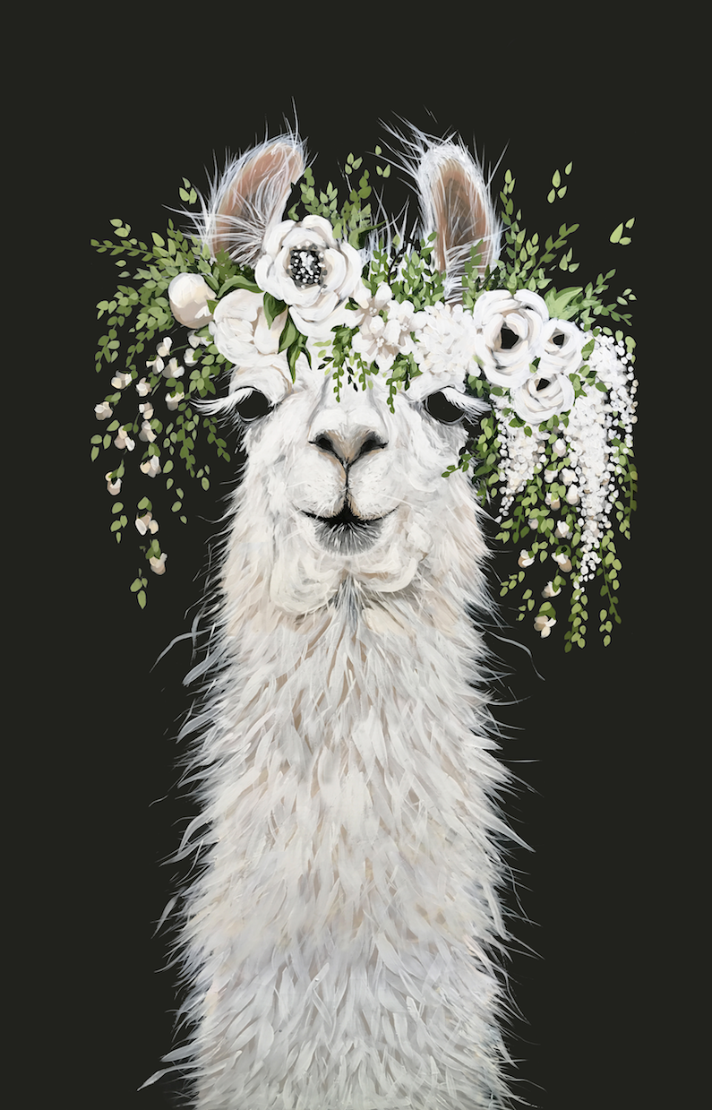 Dolly Llama