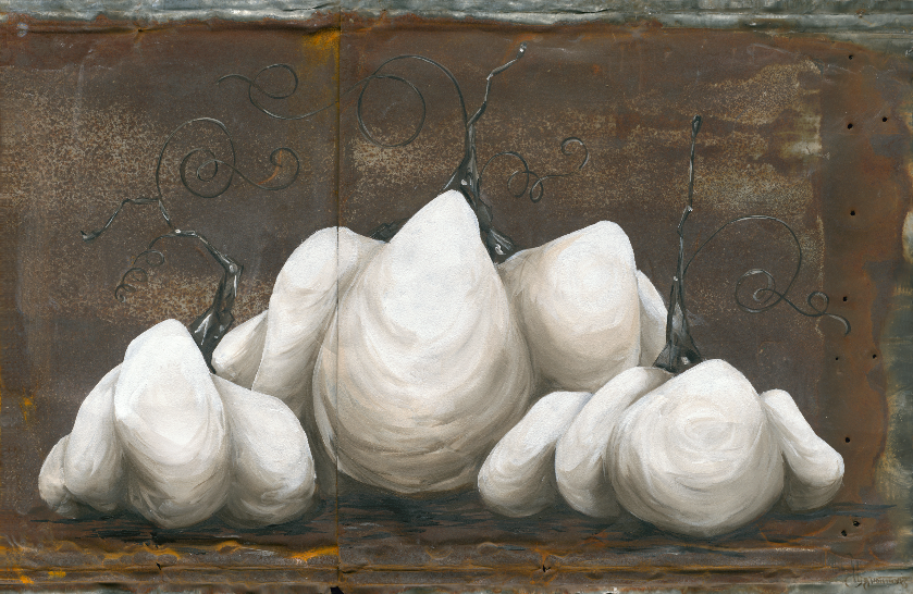 White Pumpkins on Rusty Metal