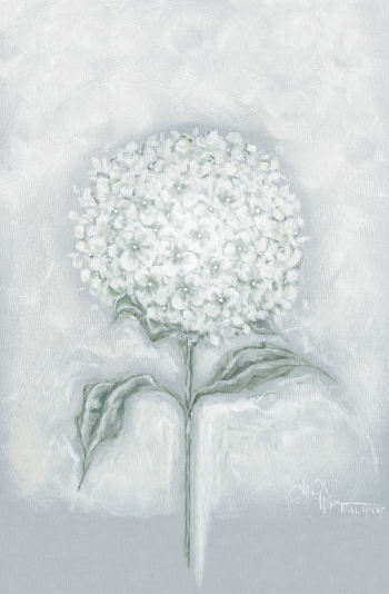 Simple Hydrangeas