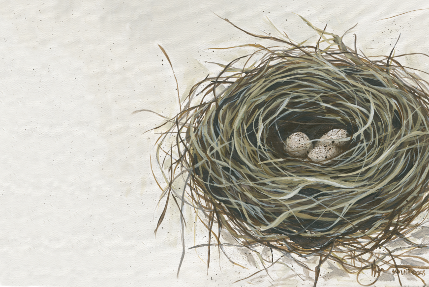 Nest