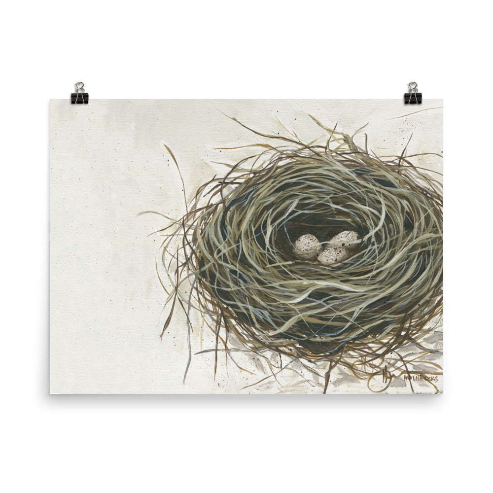Nest
