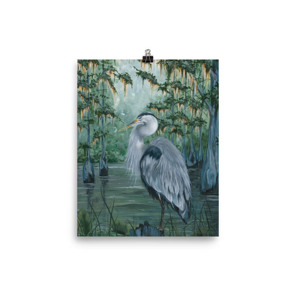 Heron in the Bayou
