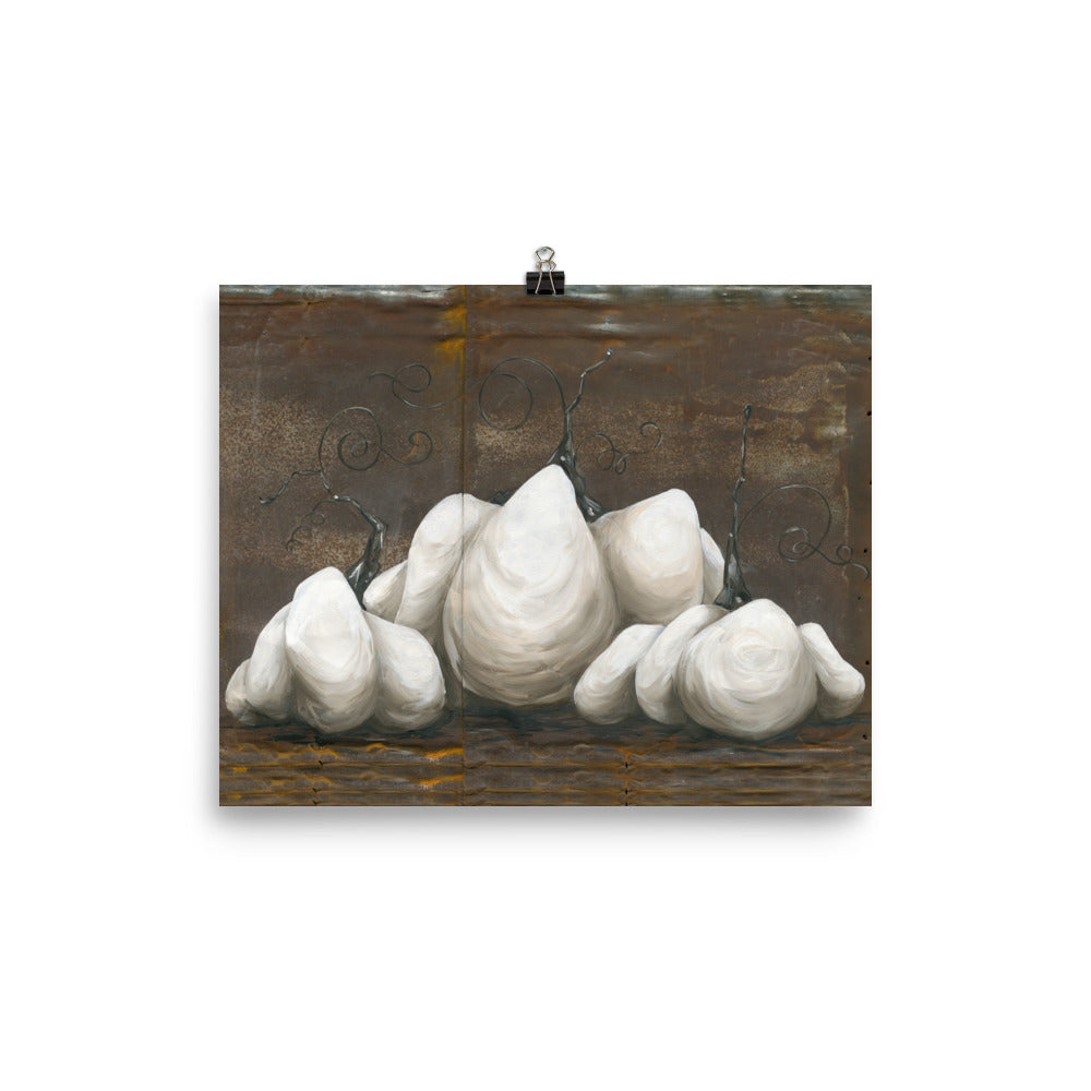 White Pumpkins on Rusty Metal