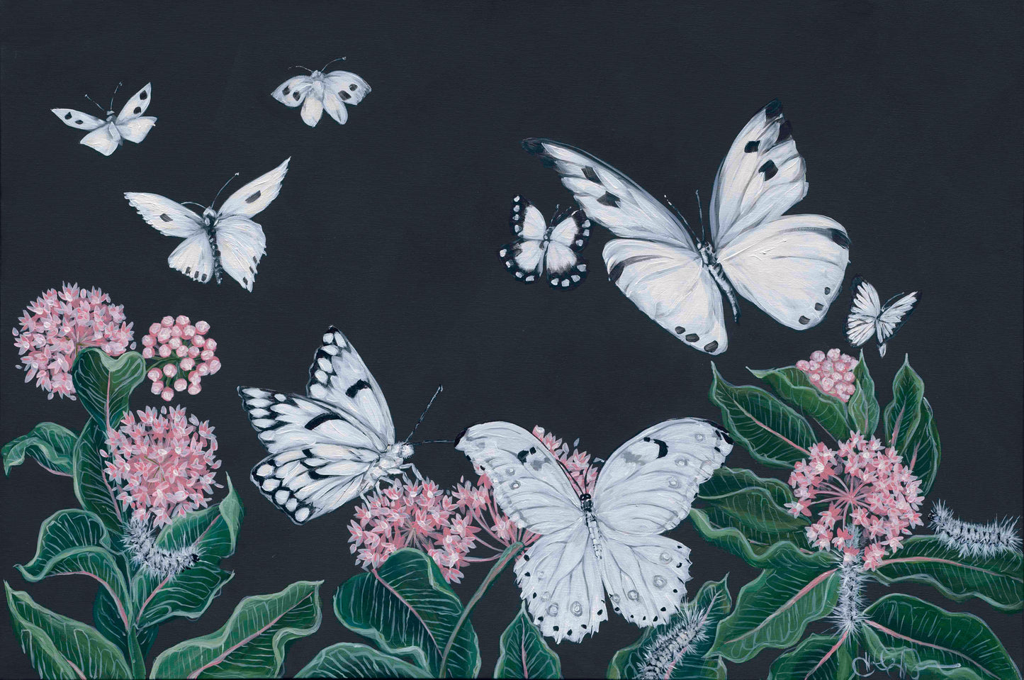 Butterflies & Caterpillars Digital Download