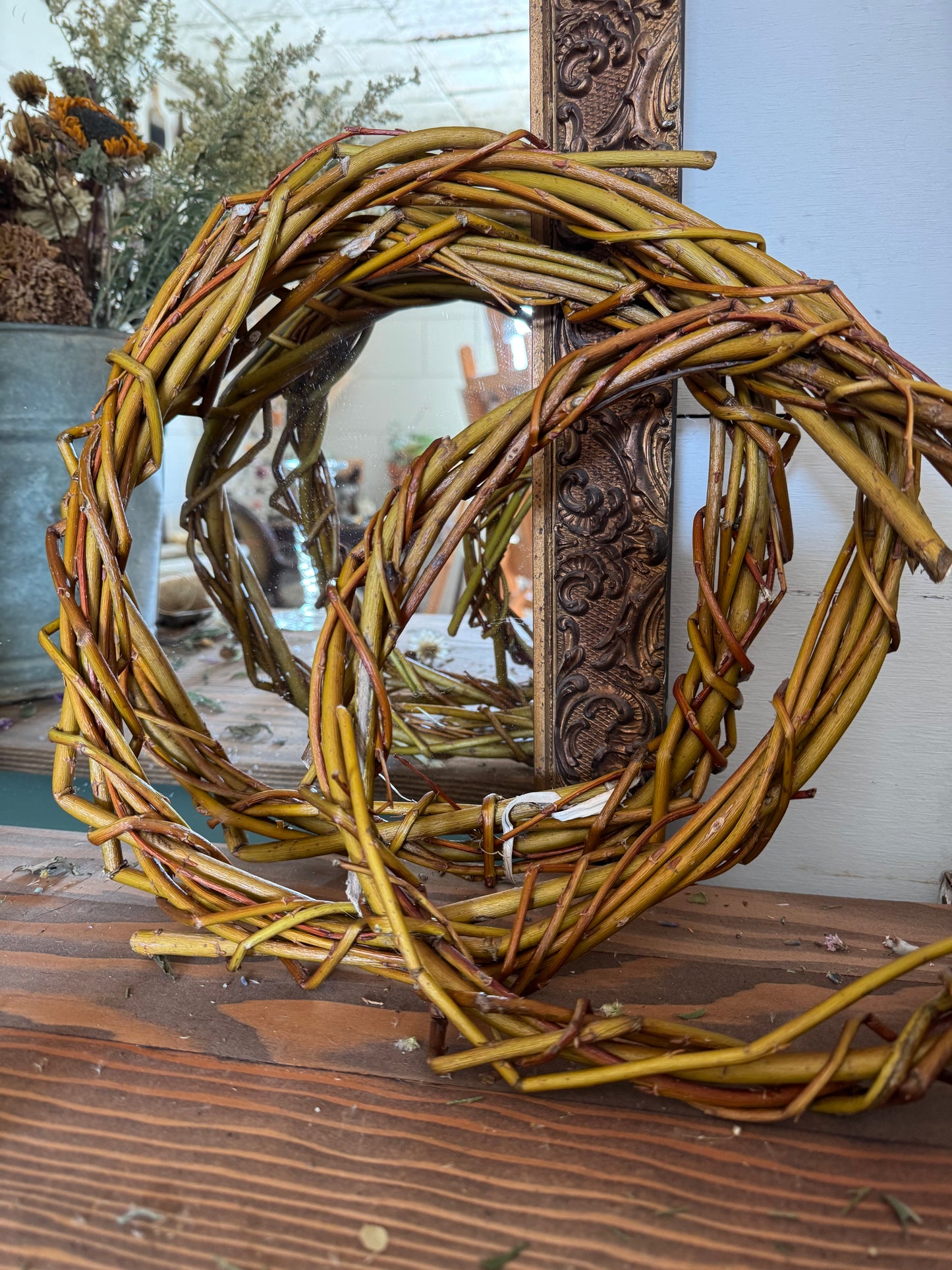 Basket Willow Cuttings