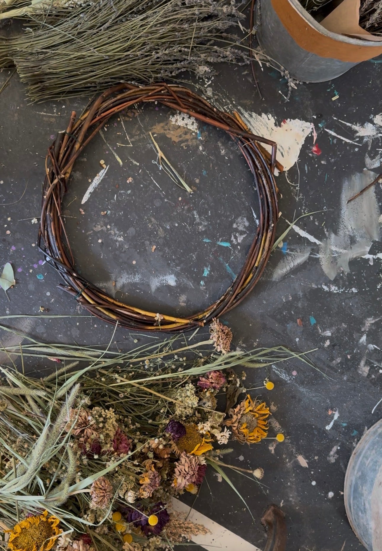 Basket Willow Cuttings