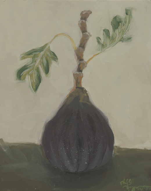 Fig