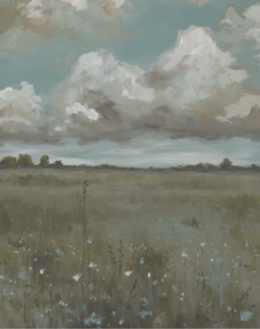 Wildflower Field