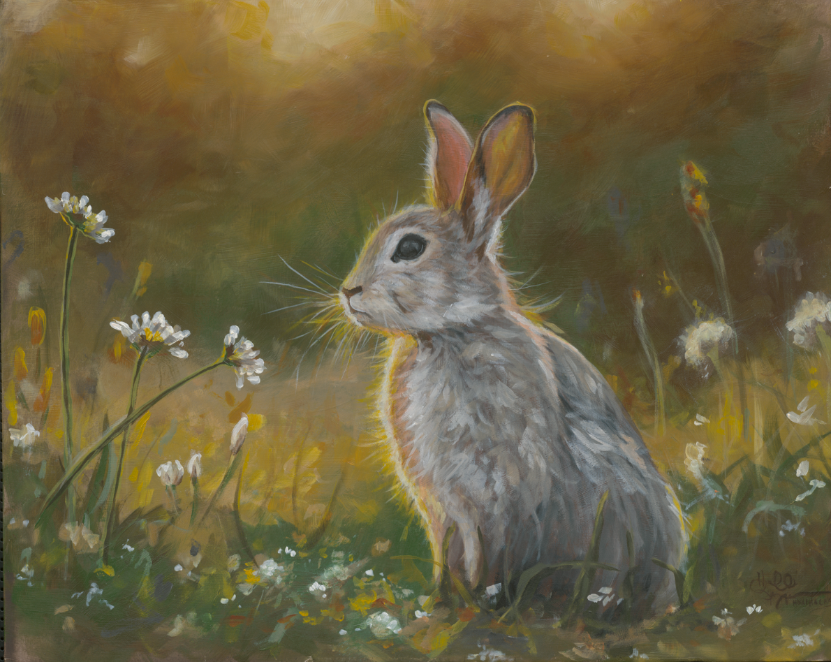 Golden Hour Series: Rabbit