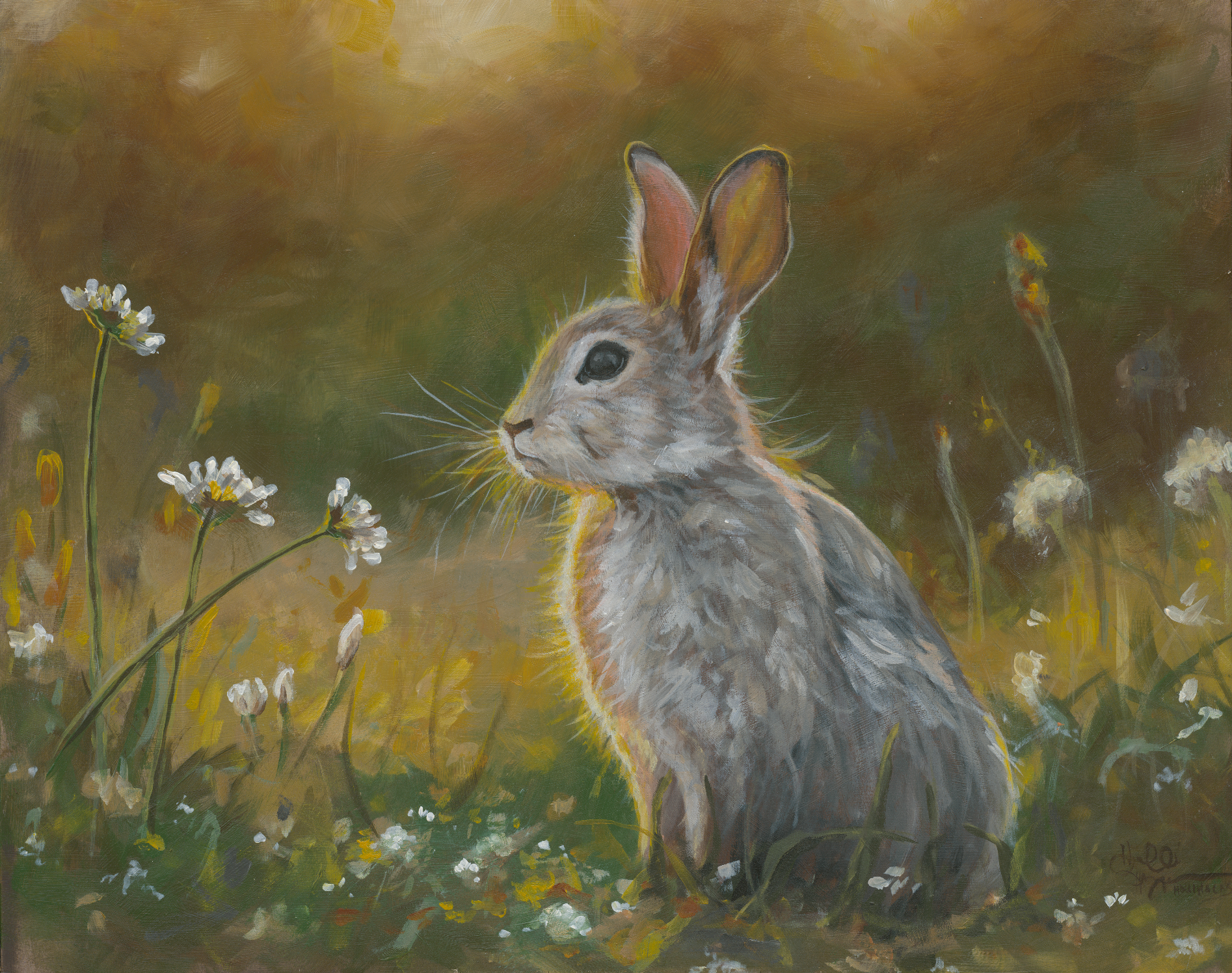 Golden Hour: Rabbit Digital Download – Hollihocks