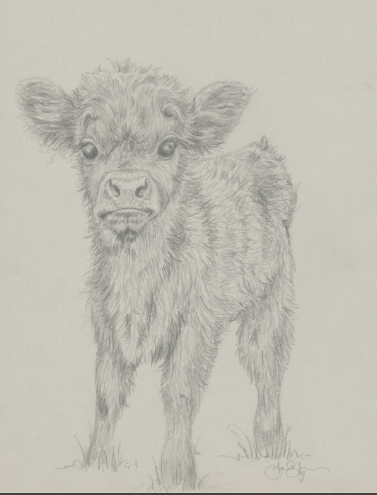 Calf Sketch Digital Download