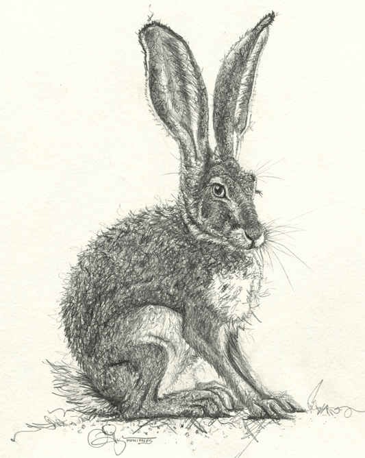 The Hare Digital Download