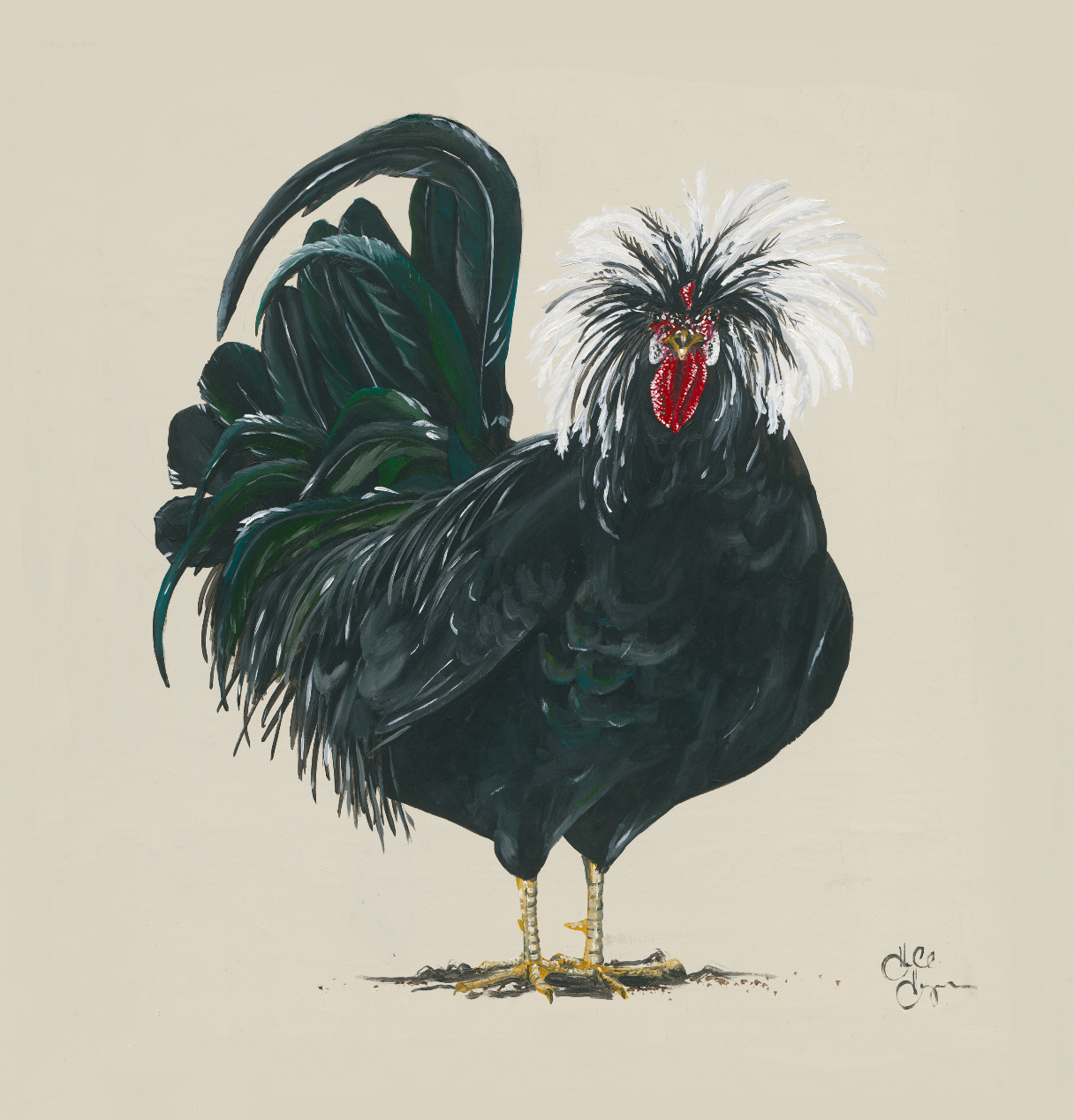 Black Rooster with Cream Background Digital Download