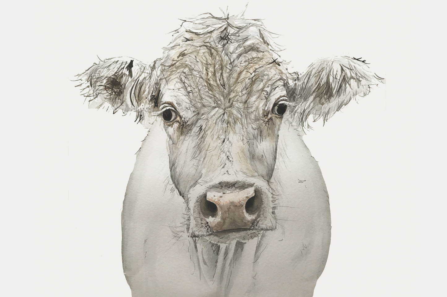 White Country Cow Digital Download