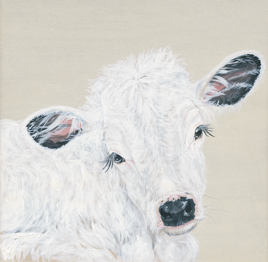 White Calf Digital Download