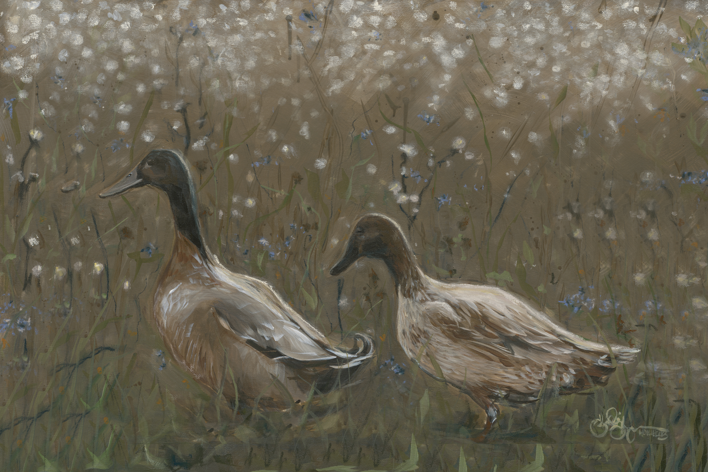 Ducks Digital Download