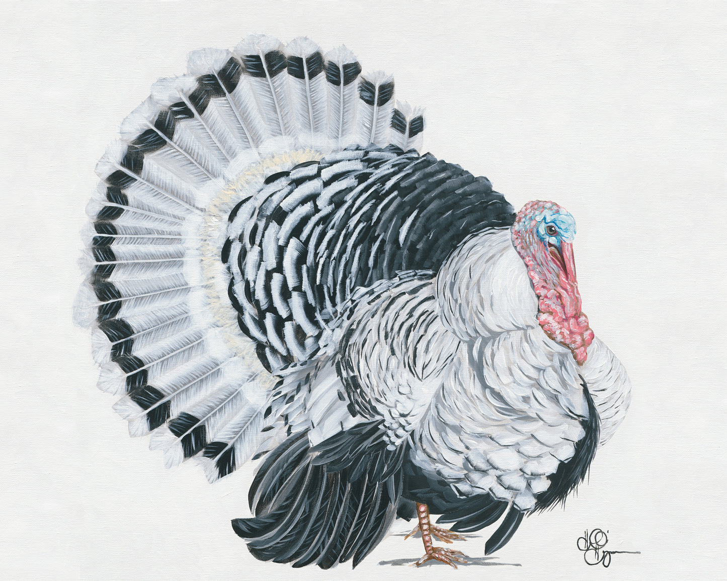 White Turkey Digital Download
