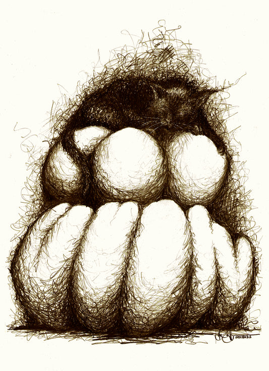 Black Cat & Pumpkins Digital Download