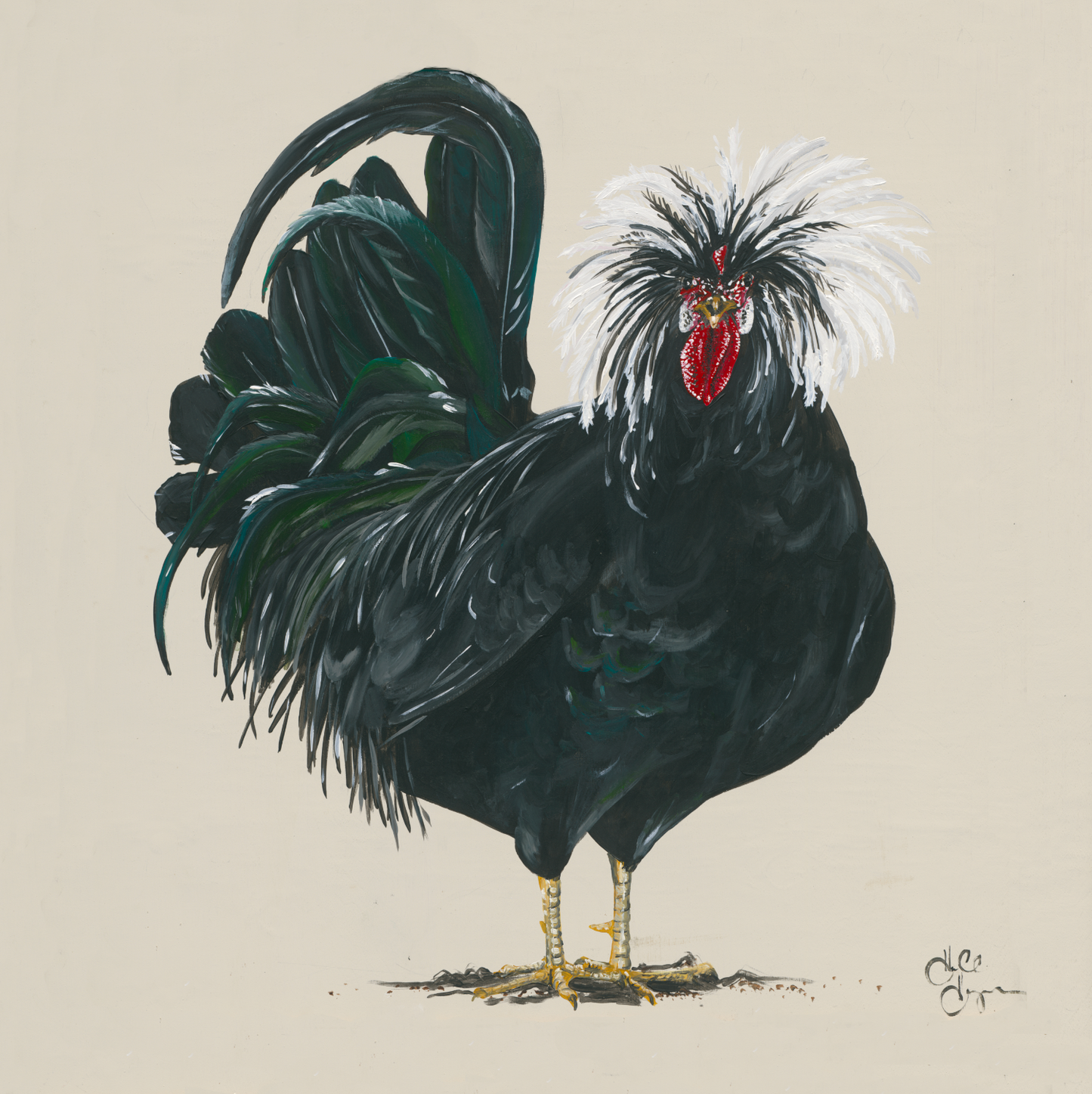 Rooster on Cream Background