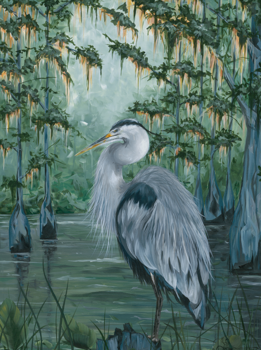 Heron in the Bayou