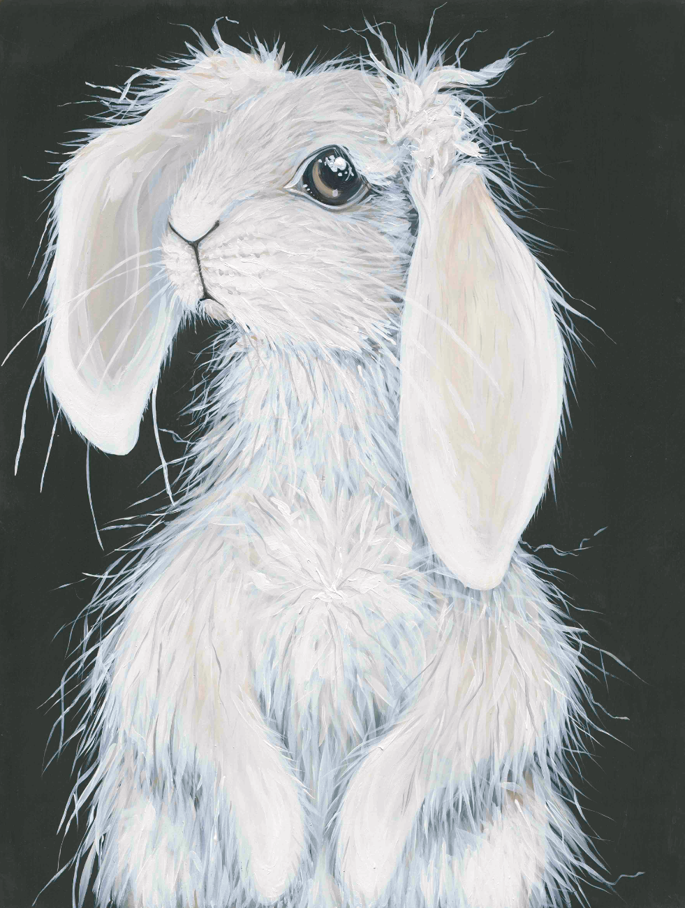 Penelope Rabbit